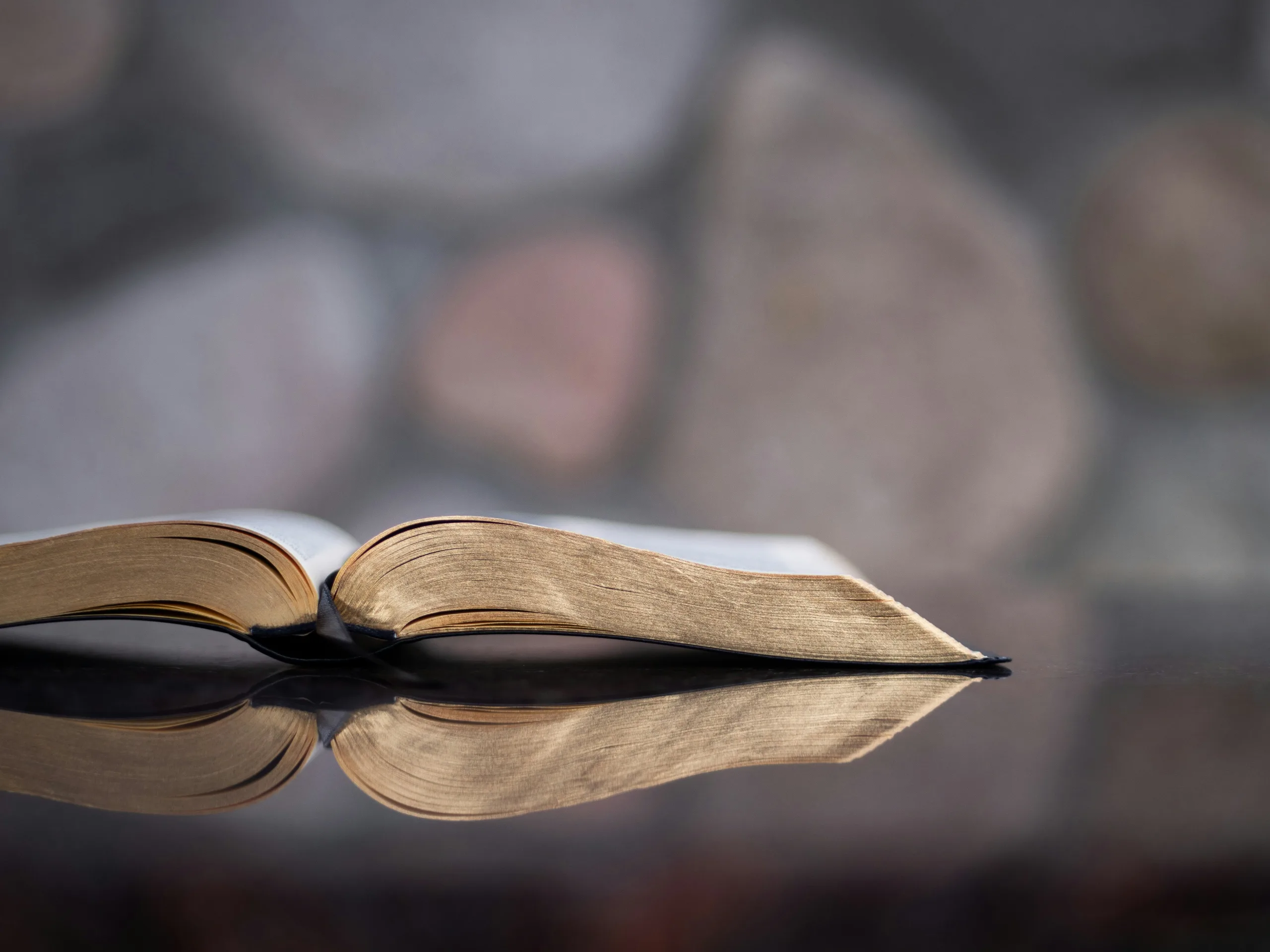 Temer a Jehová debe ser el deleite del creyente