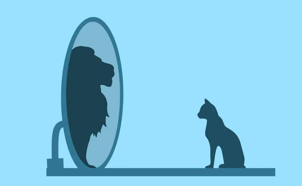 cat, mirror, pet
