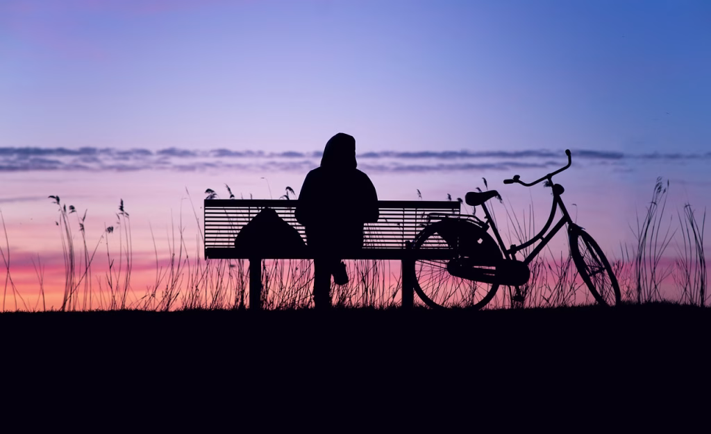 sunset, silhouette, twilight, landscape, nature, freedom, lonely, peace, relaxation, atmospheric, atmosphere, loneliness, bicycle, red sky, vote, only, polder, bench, lonely, lonely, lonely, lonely, lonely, peace, peace, peace, loneliness, loneliness