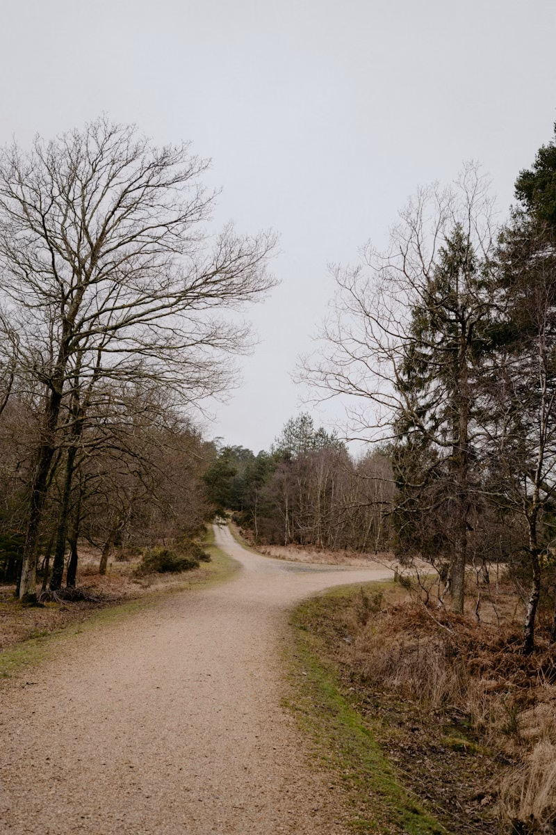 No se puede seguir a Cristo si nuestro deseo es la comodidad y el placer.