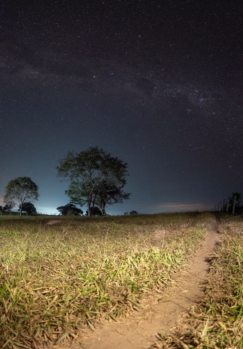 Bendecidos para adorar
