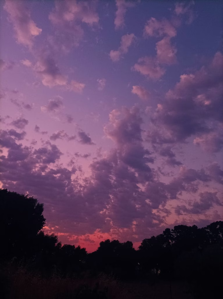 Captivating purple and orange sunset with silhouetted trees in Ialysos, Greece.